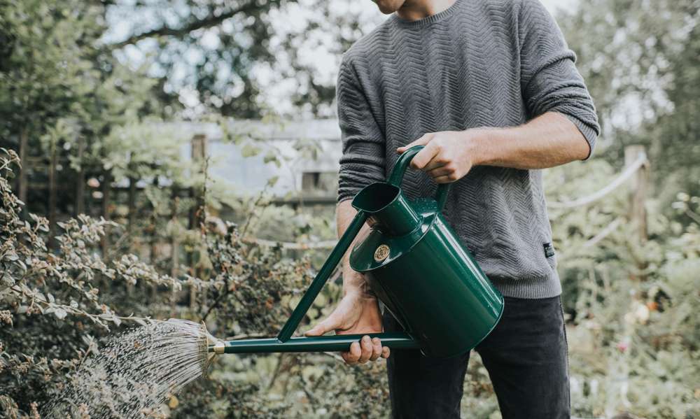 Haws The Bearwood Brook 9 L green